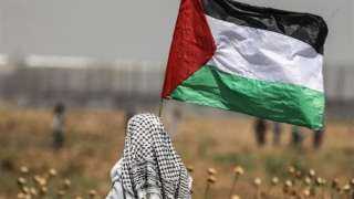 سفير فلسطين لدى مصر: القمة...