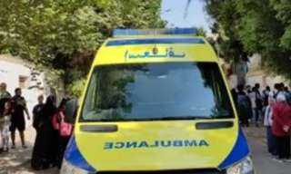 انتحار طفل في المحلة الكبرى...