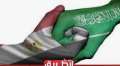 مصر والسعودية شراكة اقتصادية قوية...